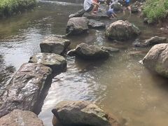 -重庆彩云湖湿地公园