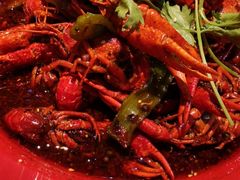 -红辣椒·川菜·火锅(张杨路店)
