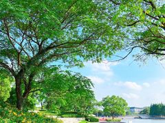 -上海月湖雕塑公园