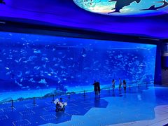 -上海海昌海洋公园