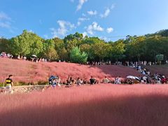 -牛岗山公园