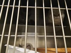 -美迦爱-动物医院·骨科·牙科·夜诊(朝阳路诊疗中心)