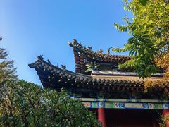 -碑林公园