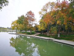 -白塘生态植物园