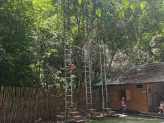 -西双版纳基诺山寨
