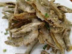 -全乐鱼馆·淳牌有机鱼直营店