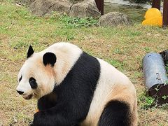 -杭州野生动物世界