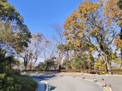 -宝界山林公园