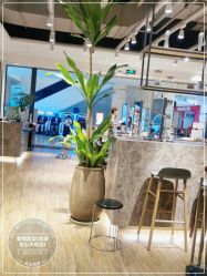 -Mentor Hair Salon