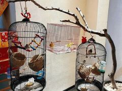 -悦融·京鲁菜·露台花园(安定门店)