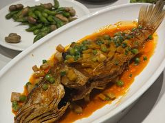-新侨小馆(东直门北小街店)