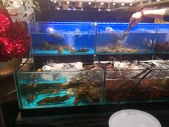-苏格里岛自助烤肉海鲜火锅(成都金牛万达店)