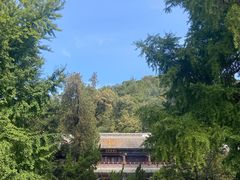 -潭柘寺景区