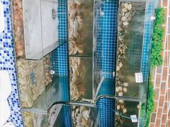 -蟹谢蒸鲜自助餐厅