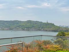 -杭州君悦酒店