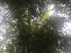 -敬亭山风景名胜区