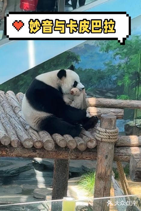 大连森林动物园图片