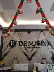 点击看大图 -DEM缔怡美科技美容