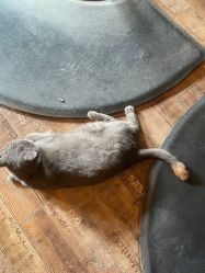 -青木造型HAIR·あおき髪を刈る潮人店