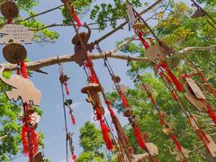 -西双版纳原始森林公园