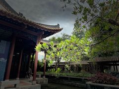 -顺峰山公园