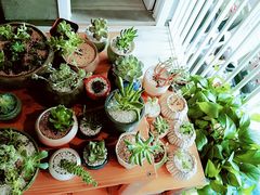 -SAH健身私教工作室(紫东店)