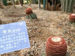 -南山植物园