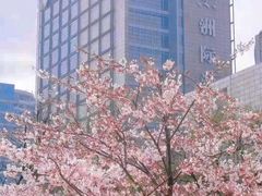 -青岛海尔洲际酒店