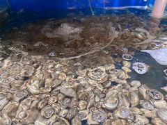 -蓝珊甄选海鲜自助·火锅大排档(近阿那亚店)