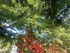 -七仙岭温泉国家森林公园