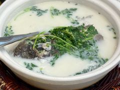 -紫藤园·天目湖大鱼头(南山竹海店)