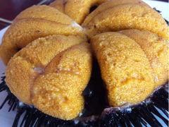 iphone_upload_pic-春妮海味饭店