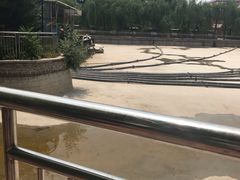 -黄村公园