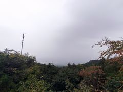-阳台山自然风景区