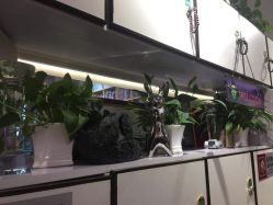 -木北护肤造型
