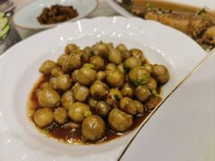 -孔庆璞河豚馆(白玉兰酒店)