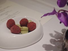 -蝶舍·MAISON PAPILLON