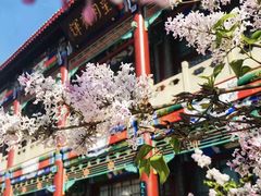 -达活泉公园