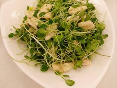 香椿拌核桃-同和居(什刹海店)