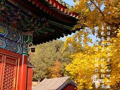 -香山公园