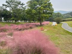 -钟山体育运动公园