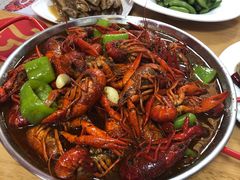 -杨氏青龙虾·羊蝎子(托乐嘉店)