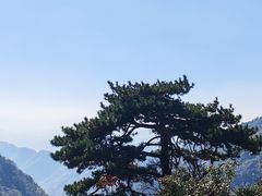 -东天目山风景区