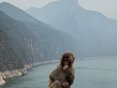 -白帝城·瞿塘峡景区