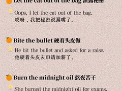 -引领英语·成人口语·雅思托福