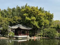 -汇龙潭
