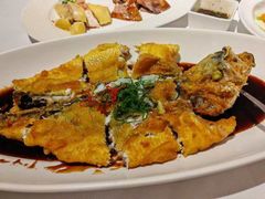 -圆苑(金茂店)