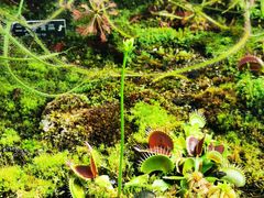 -国家植物园南园