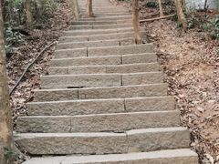 -梧桐山风景名胜区