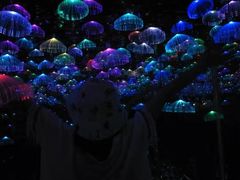 -武汉5D星空错觉艺术馆(中心百货店)